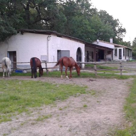Ferme Equestre Des Abrons Villa Pailloles Buitenkant foto