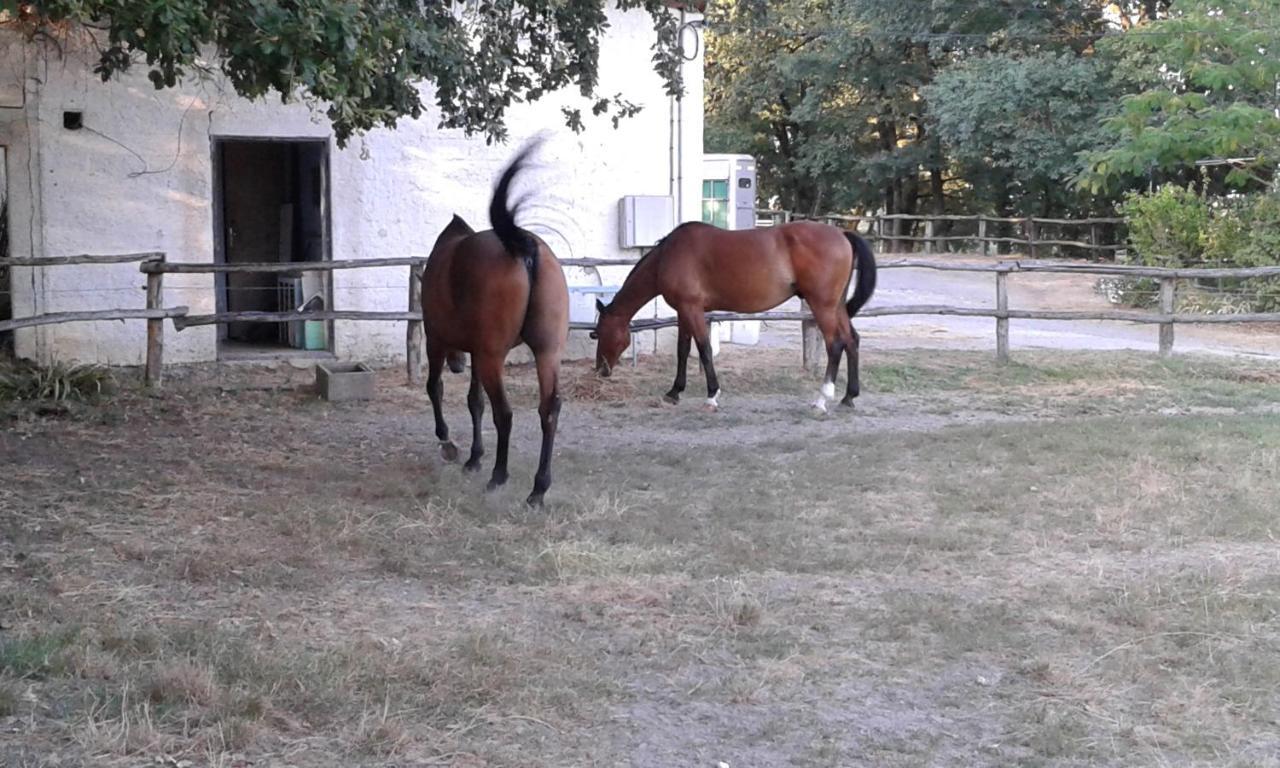 Ferme Equestre Des Abrons Villa Pailloles Buitenkant foto