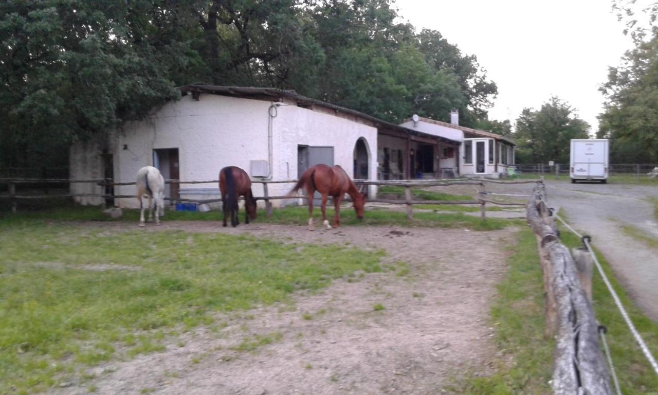 Ferme Equestre Des Abrons Villa Pailloles Buitenkant foto