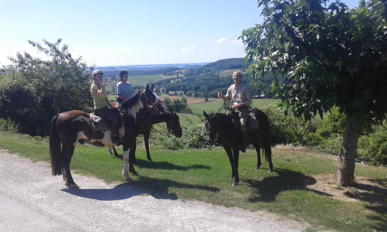 Ferme Equestre Des Abrons Villa Pailloles Buitenkant foto