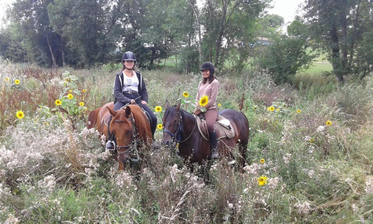 Ferme Equestre Des Abrons Villa Pailloles Buitenkant foto